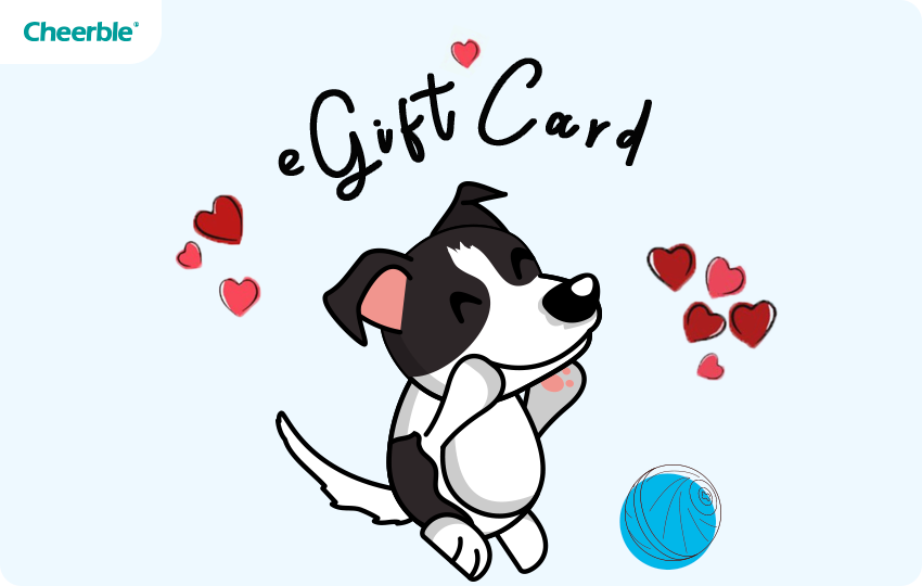 eGift Card