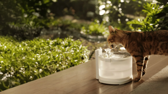 An ocelot drinking water using cat water fountains