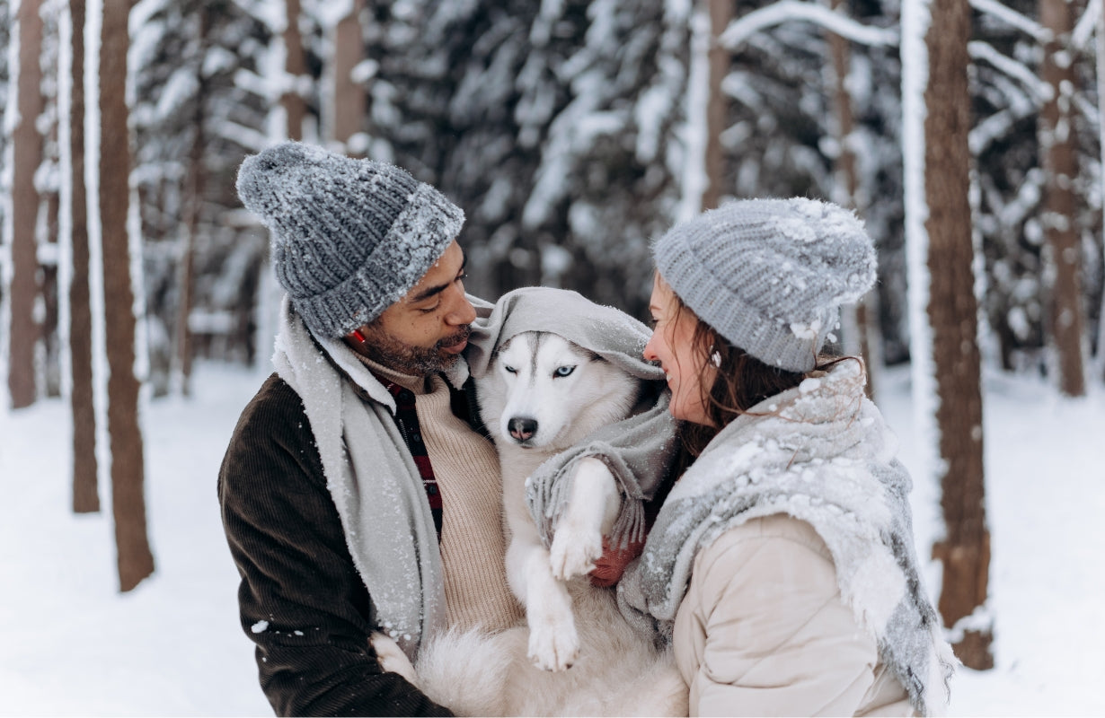 How to Keep Your Pets Comfortable During Winter