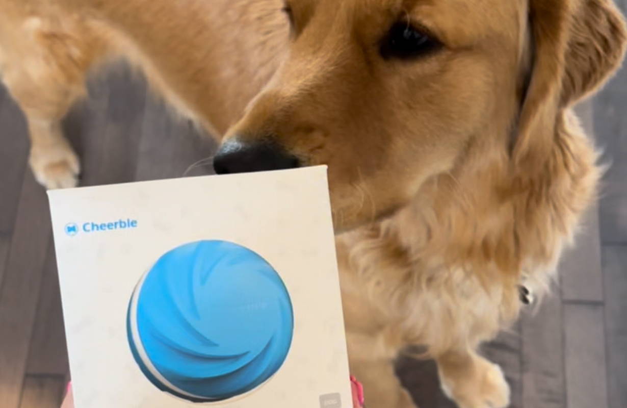 Disrupting the Dog Industry with Innovate Mental Enrichment Games & Toys
