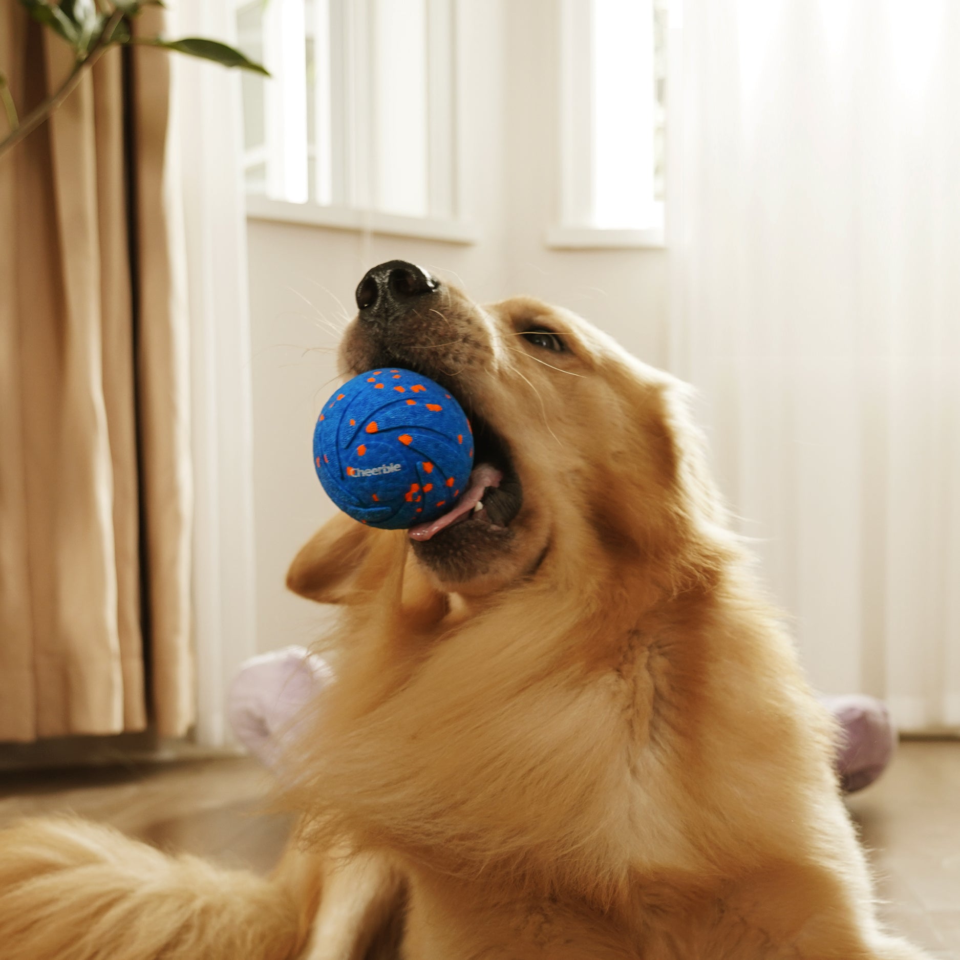 Wicked Ball Air & Shell Bundle