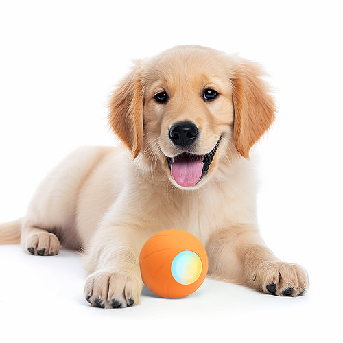 Cheerble - Innovative Pet Products