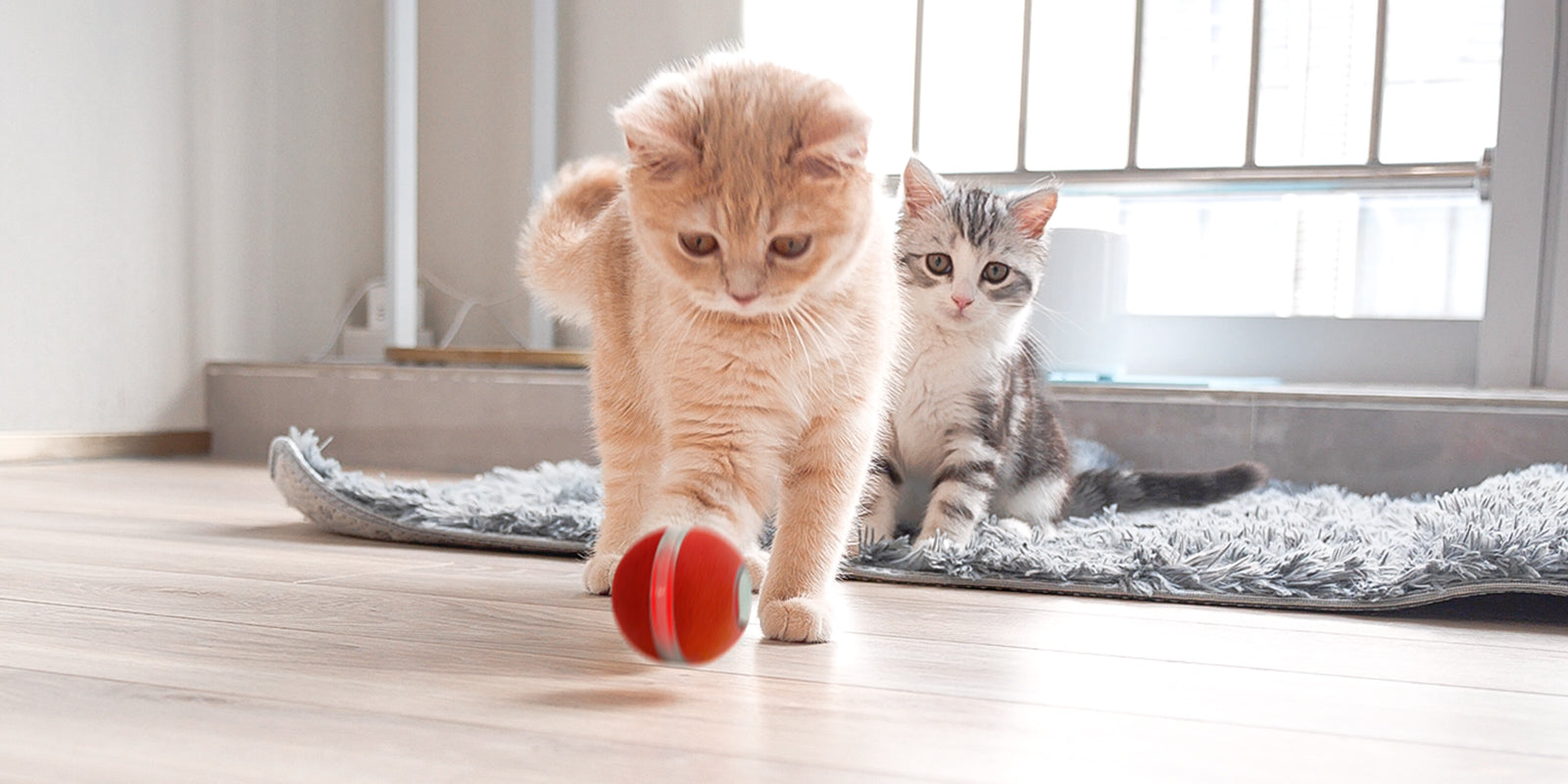 Cheerble Ball: Tiny Smart Ball for Your Cat's Entertainment