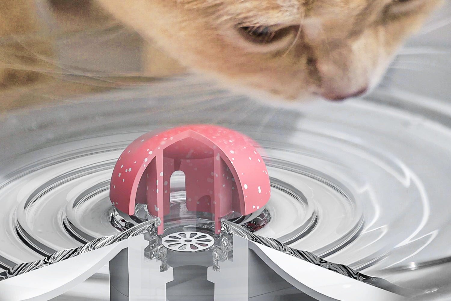 Snail design water fountain for cats