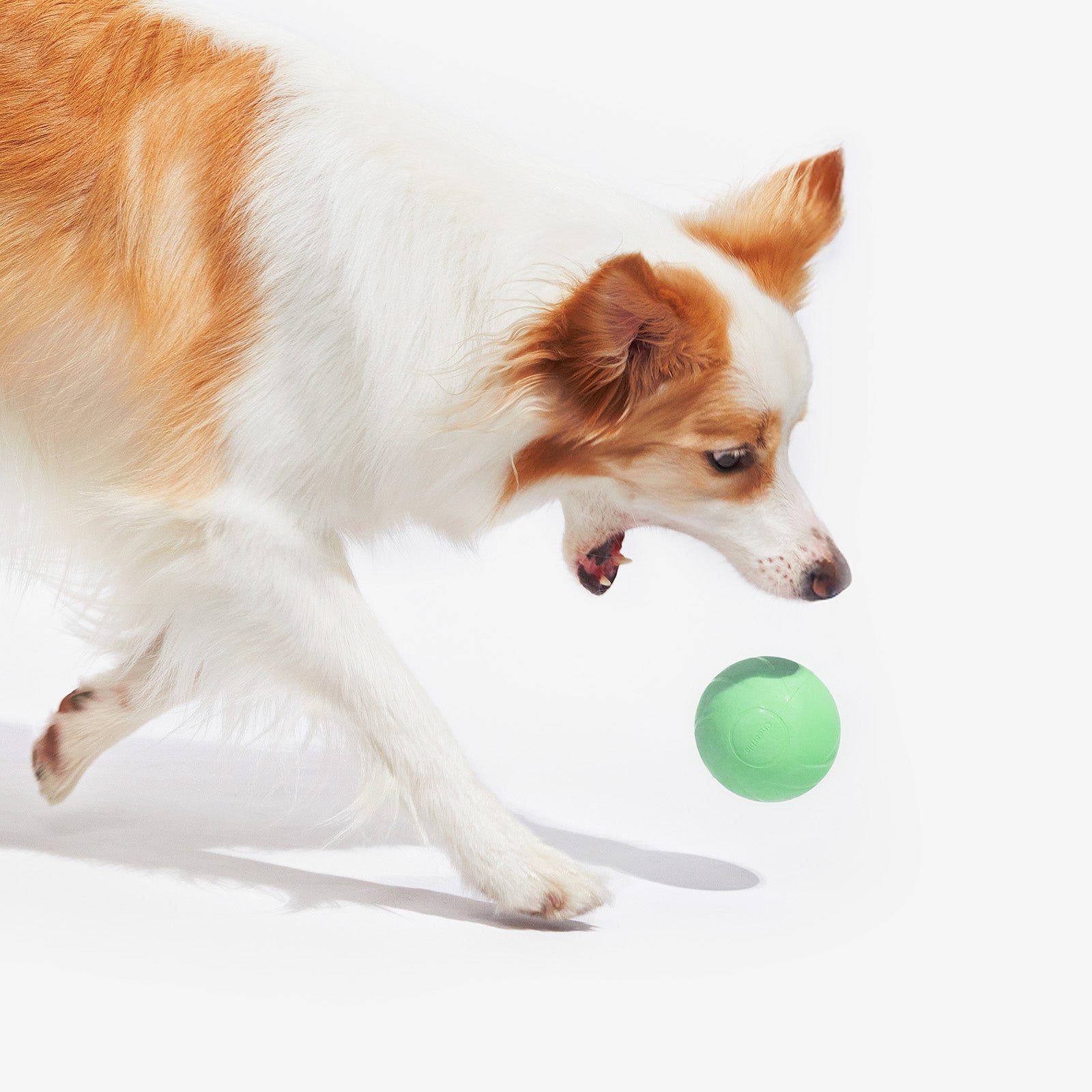 Wicked Ball PE (Special Deal)