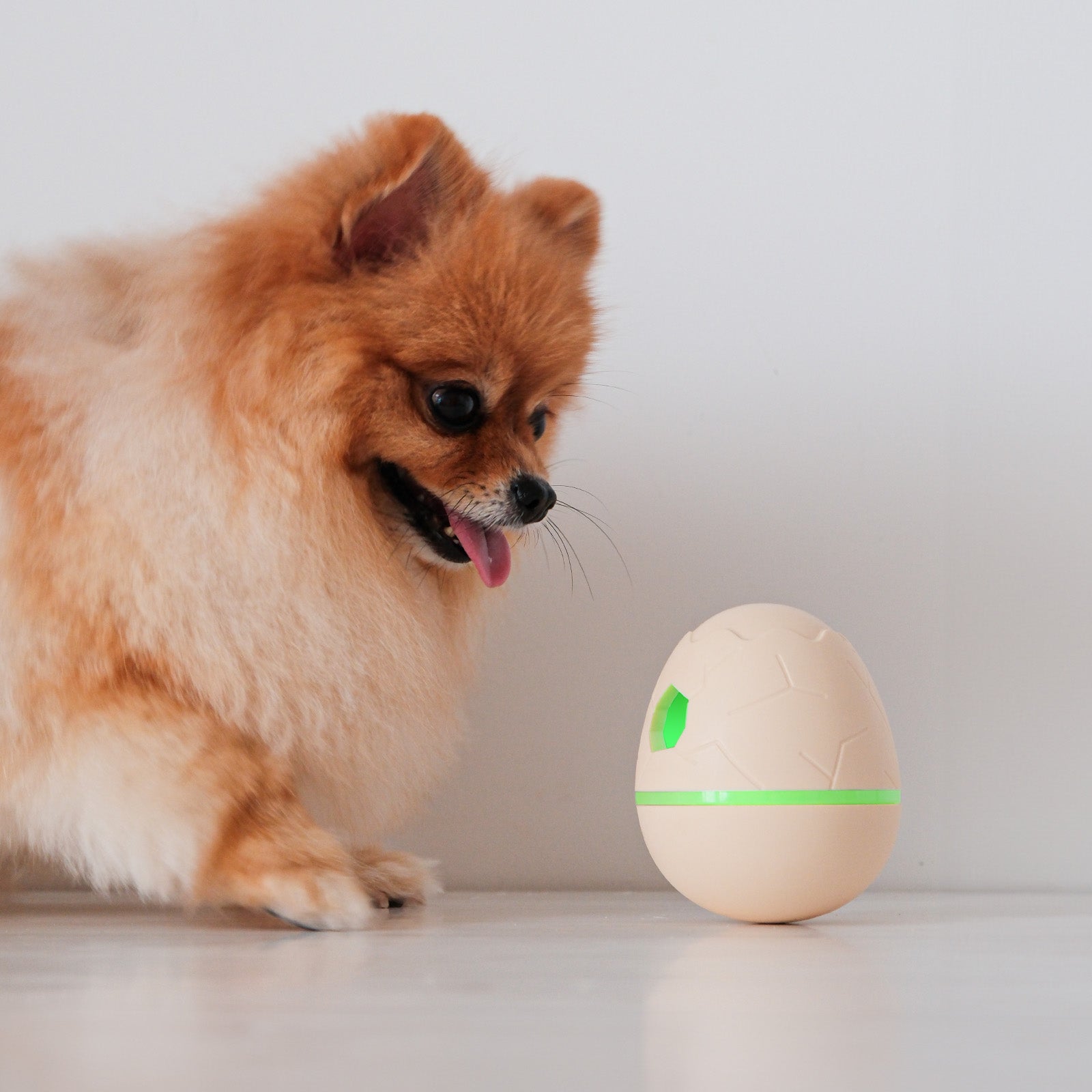 Wicked Egg