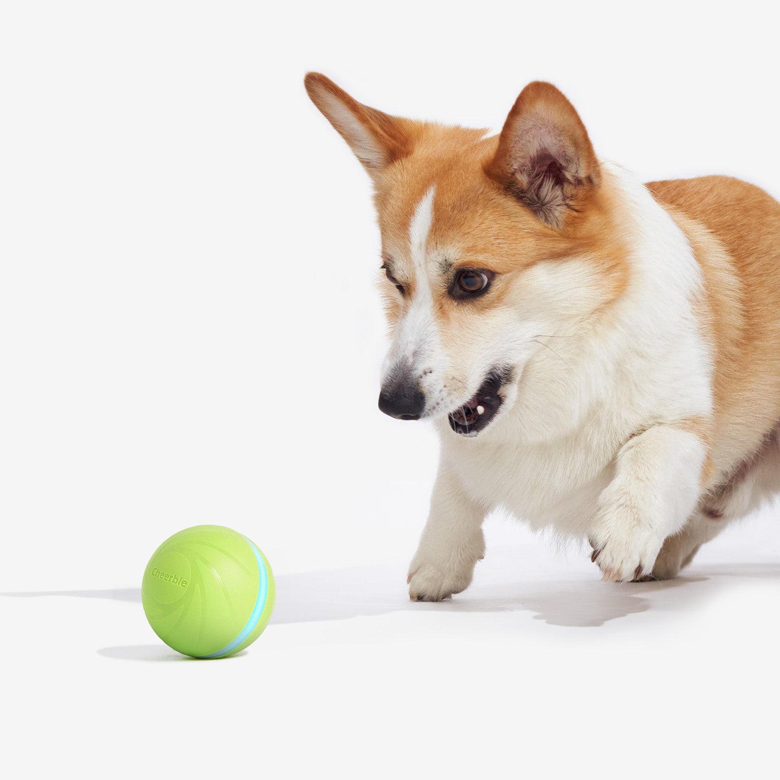 Wicked Ball