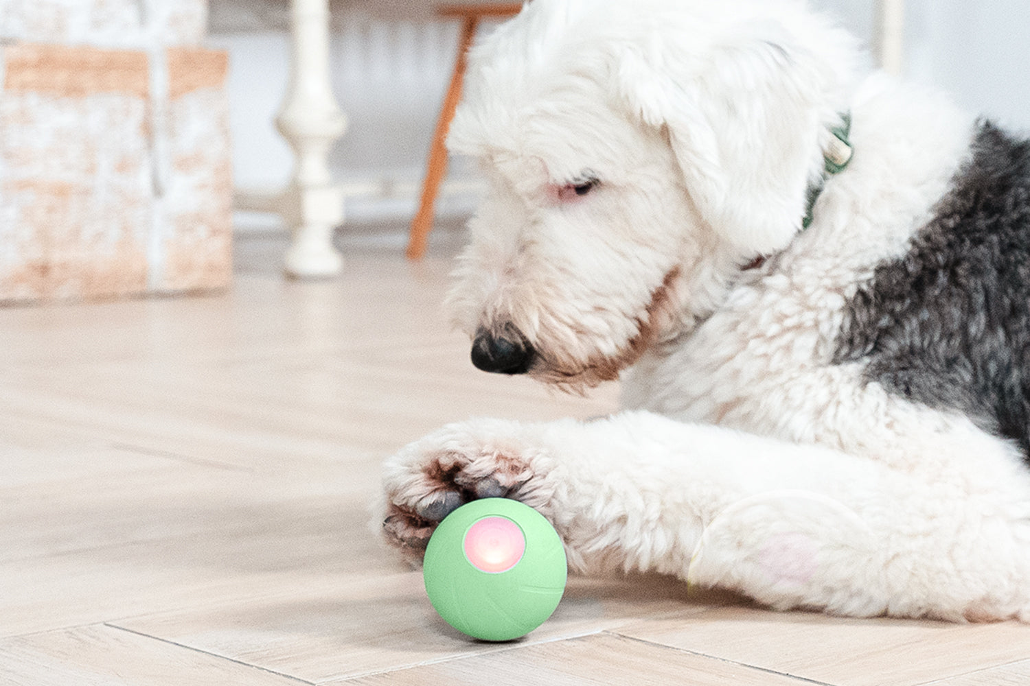 Wicked Ball PE: Smart Interactive Dog Toy for Medium & Large Breeds