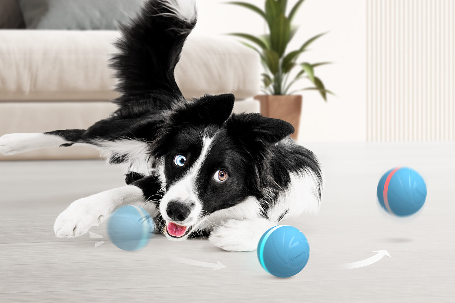 Cheerble Wicked Ball (Special Deal) Interactive Dog Ball Toy, Cyclone (Less Destructible)