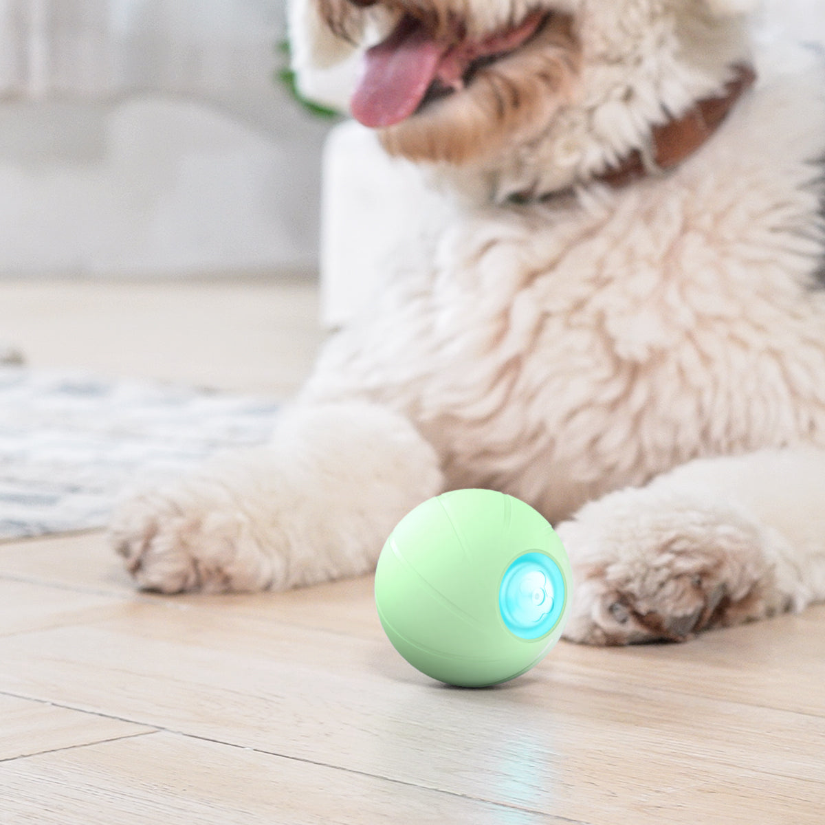Rolling Ball:Interactive Dog Toy for Small-Medium Dogs,Self-Moving Chewable  Plus