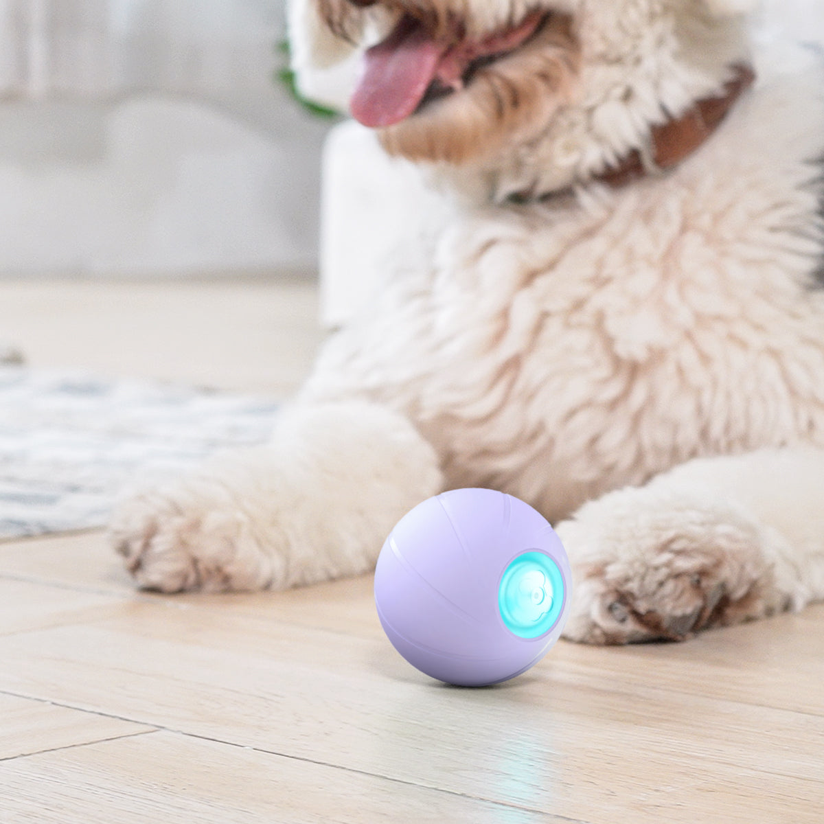 Wicked Ball PE: Smart Interactive Dog Toy for Medium & Large Breeds