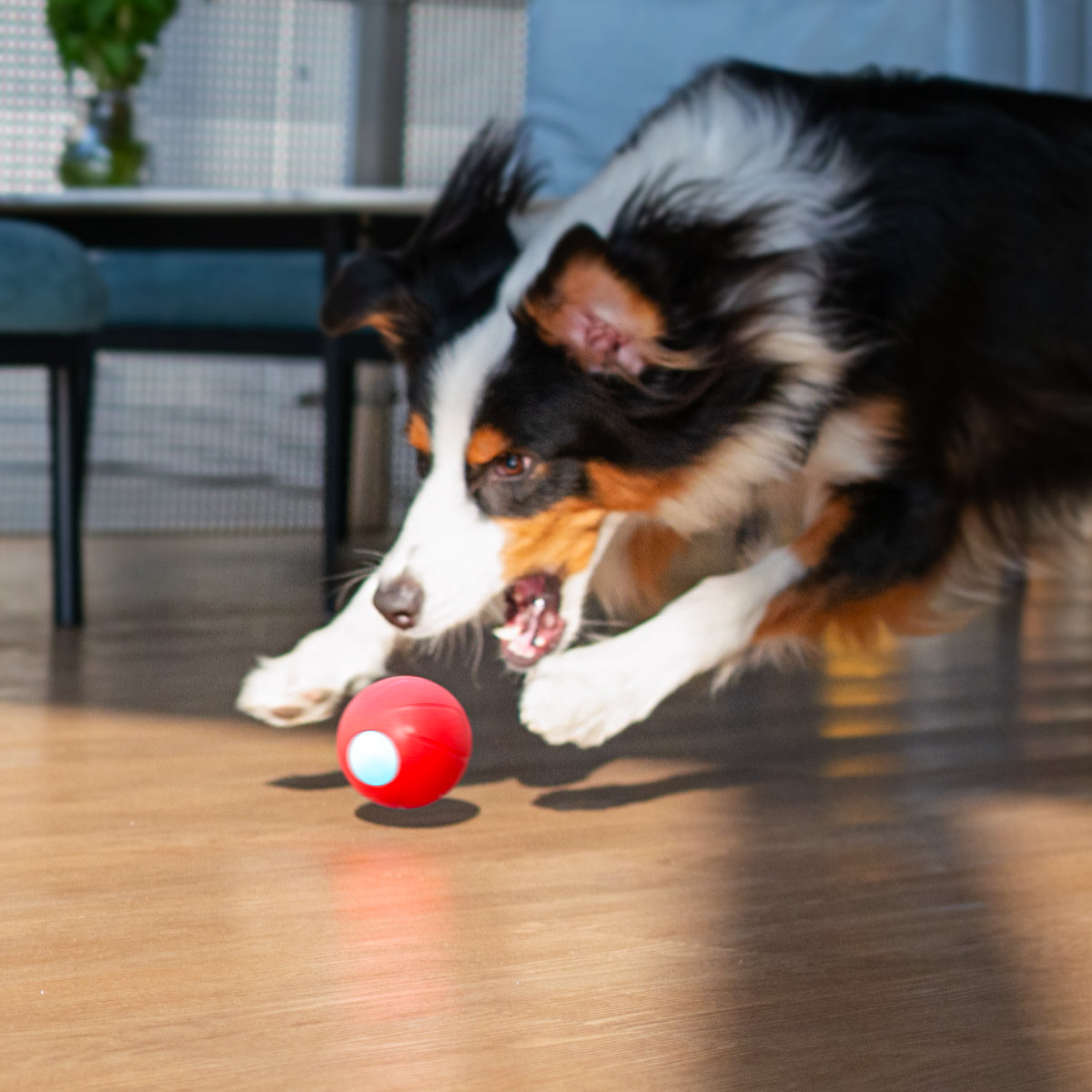 5 Best Interactive Dog Toys of 2024 - Reviewed