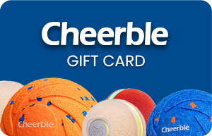 eGift Card