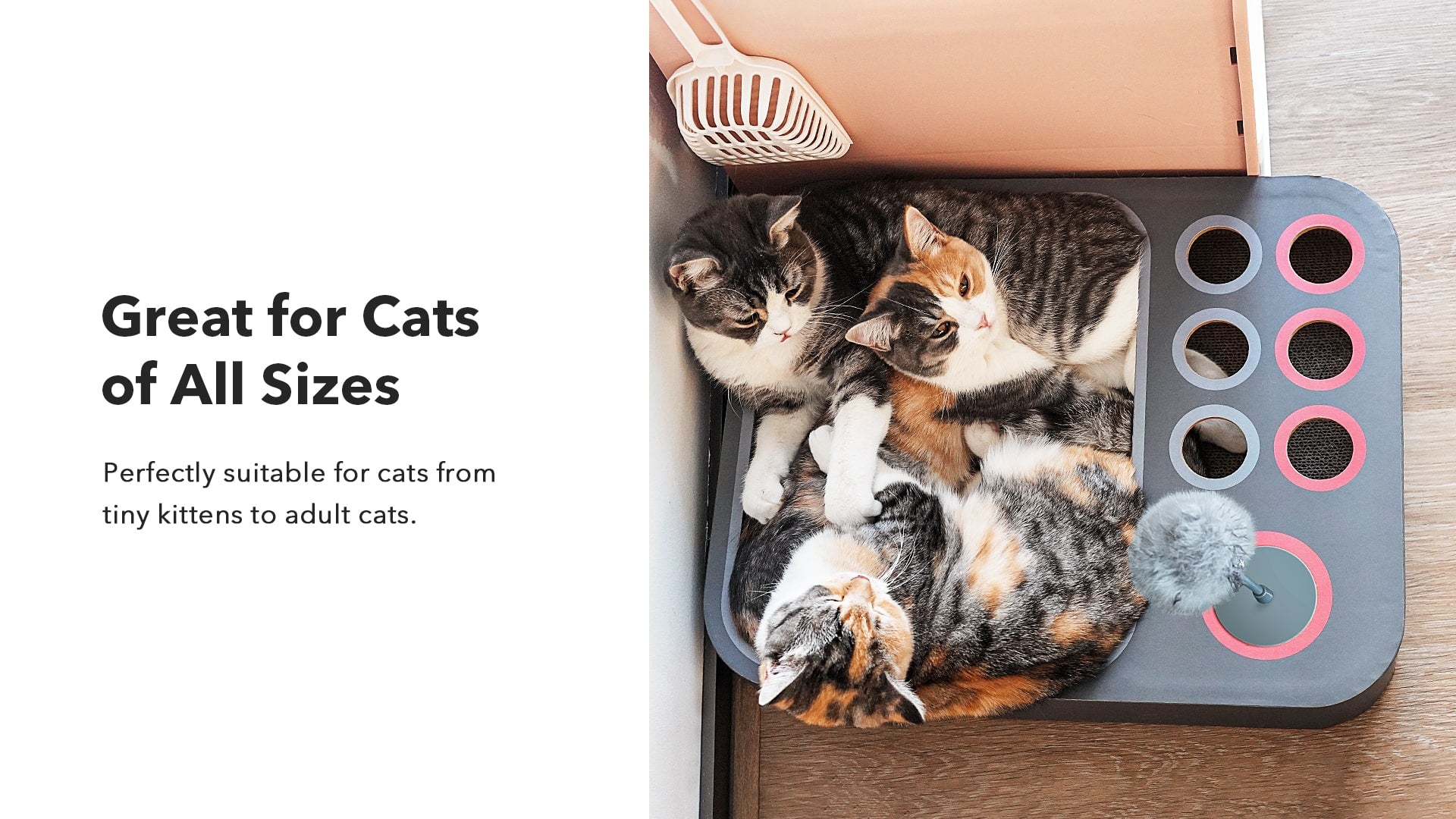 Board Game Brand New 3 in 1 Smart Cat Toy One Size Fits All