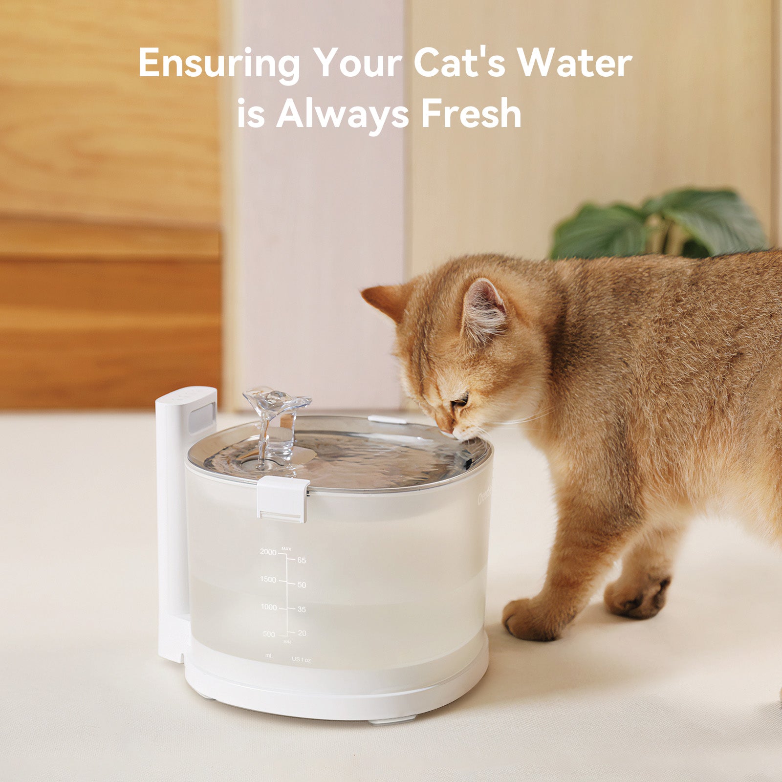 Pet Fountain Replacement Filters